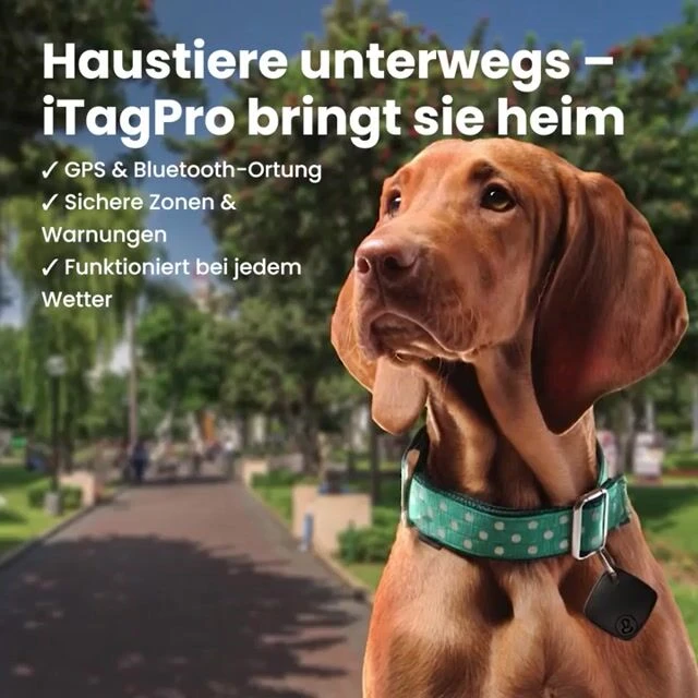 iFindTag image