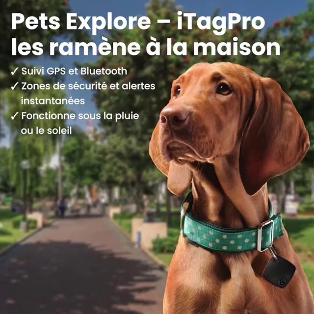iFindTag image